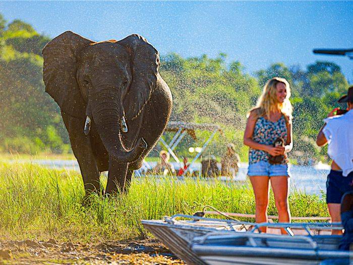 Elefantenbegegnung im Chobe-Nationalpark | © Peter Pack, Pack Safari / Chamäleon