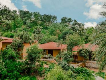 Aloof Jungle Resort |  Aloof Jungle Resort / Chamleon